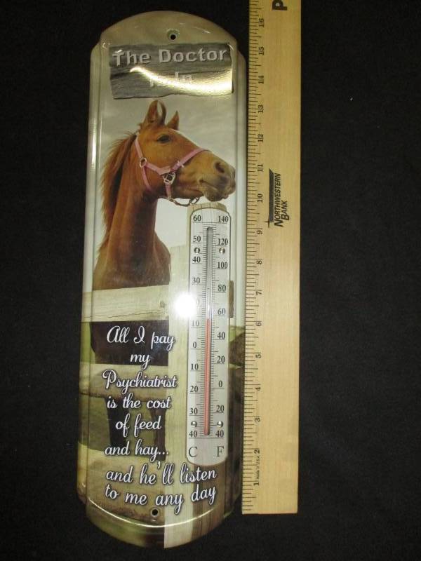 lot 115 image:  The Doctor is In Horse Thermometer