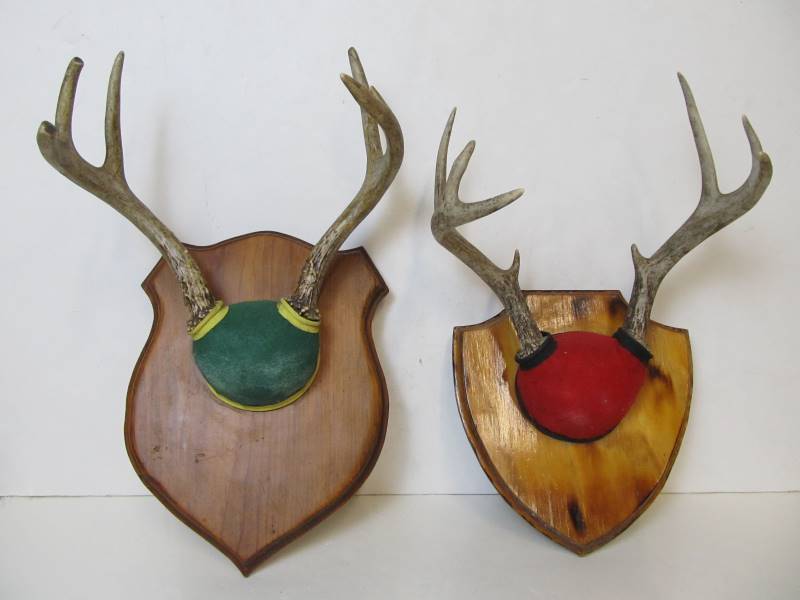 lot 29 image: 2 Sets of Mounted Deer Antlers