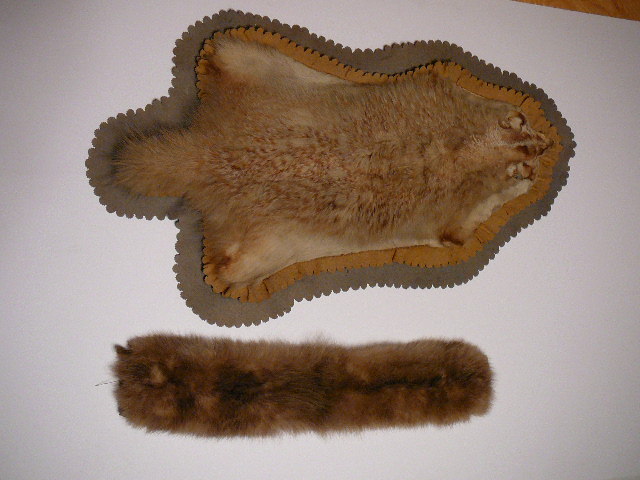 lot 173 image: 2 circa 1920 Badger hide
