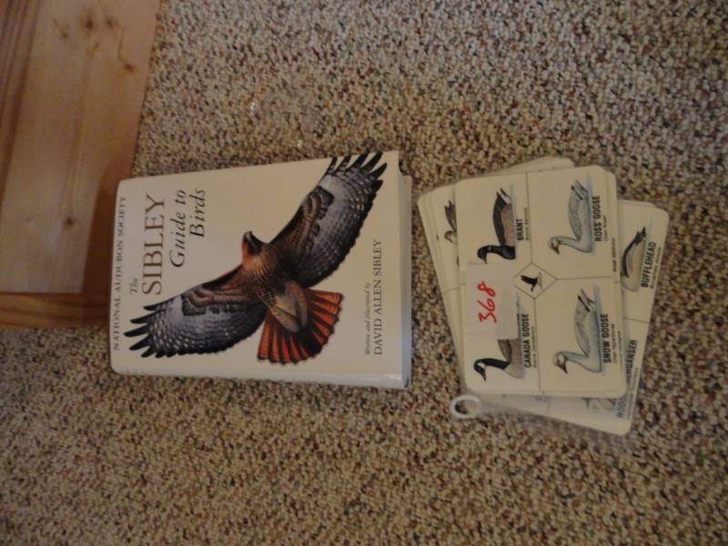 lot 368 image: Bird Book