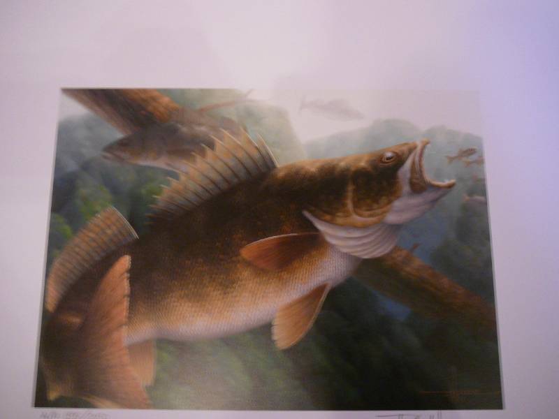 lot 211 image: 2012 Mn Walleye Stamp Print 155250