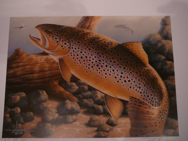 lot 213 image: 2006 Minnesota Trout and Salmon Stamp Print