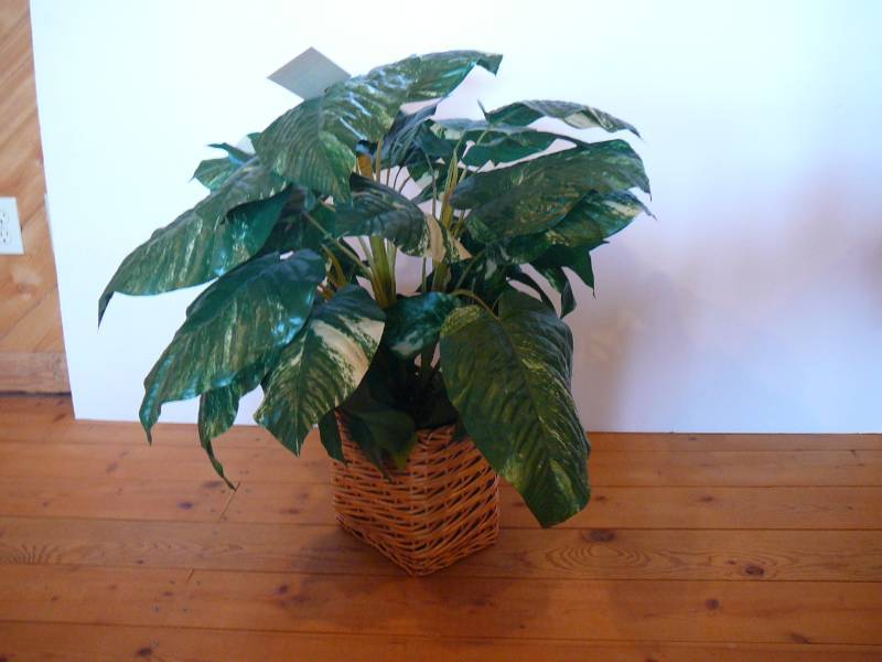 lot 229 image: Decorative Artificial Plant