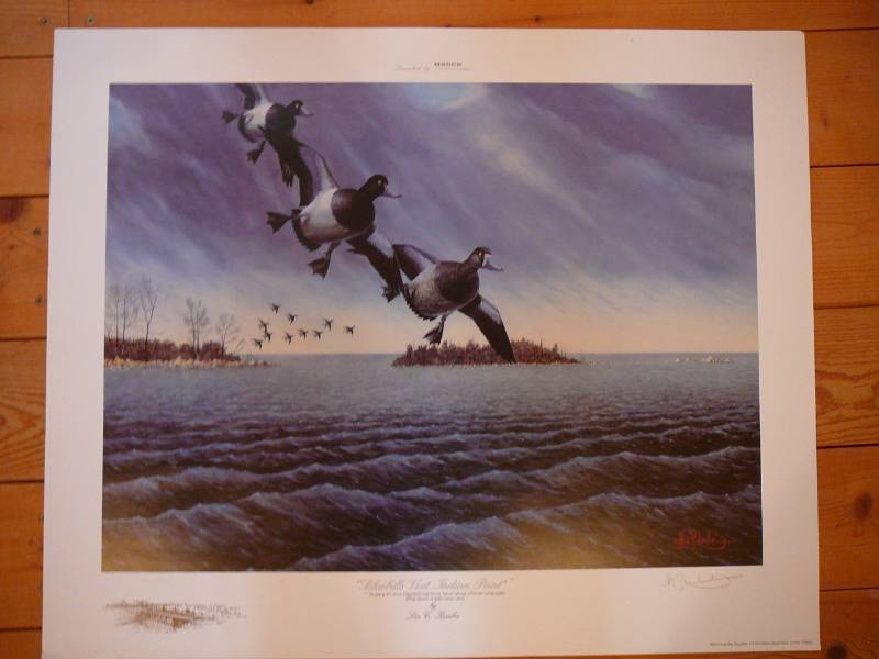 lot 230 image: Print  Bluebills Visit Indian Point