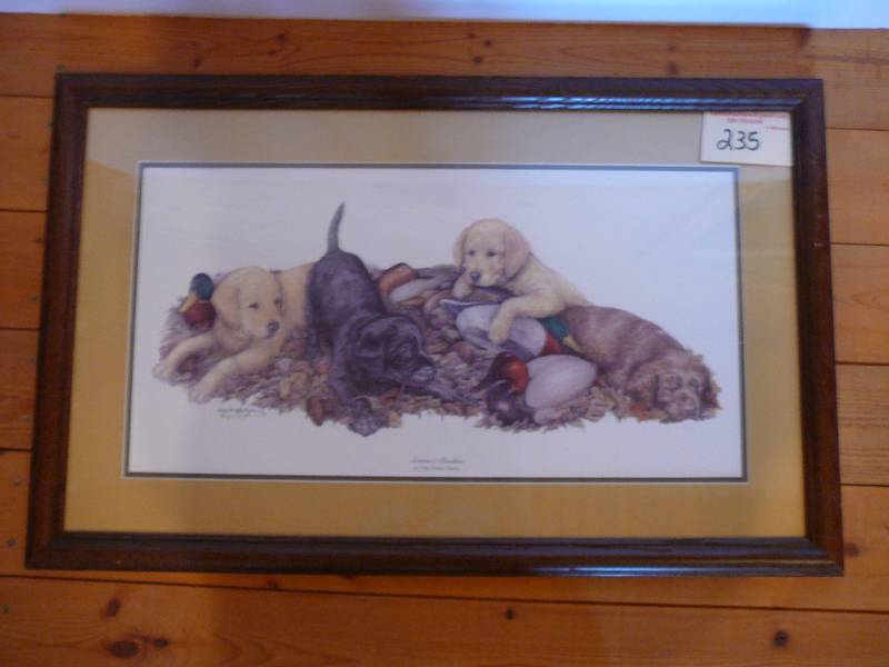 lot 235 image: Framed Print Seasons Rookies