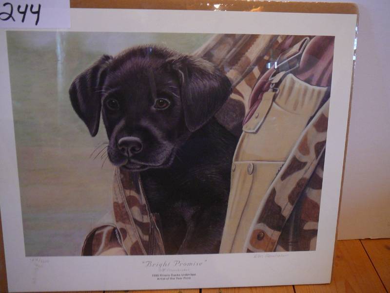 lot 244 image: Print  Bright Promise