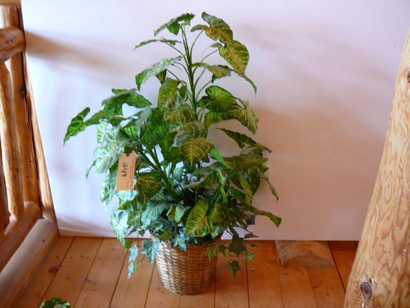 lot 249 image: Artificial Plant