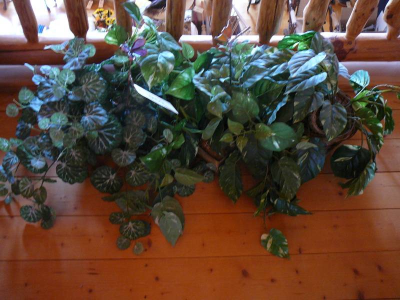 lot 250 image: Artificial Plants