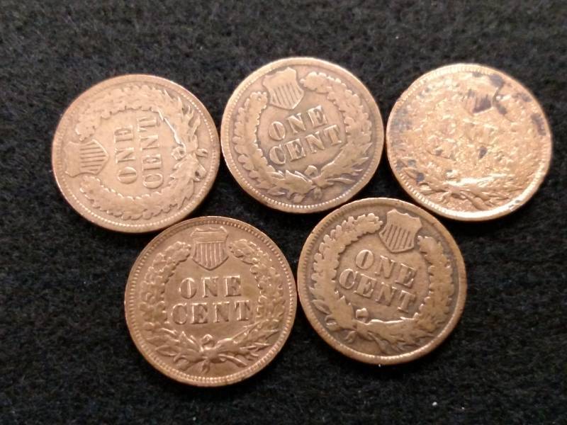 lot 96 image: (5) Indian Head Cents...