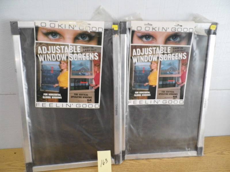 lot 163 image: Pair of Adjustable Screens