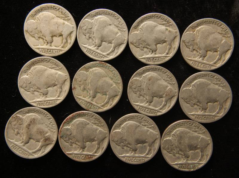 GROUP OF 12 US BUFFALO NICKELS all dates are visible