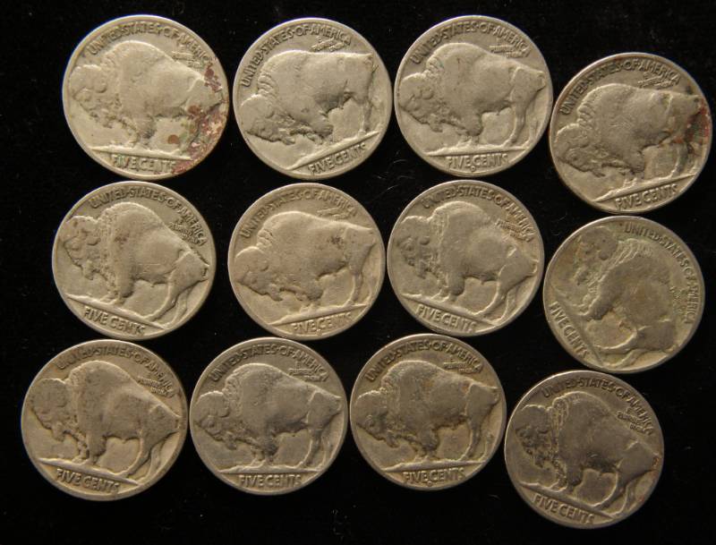GROUP OF 12 US BUFFALO NICKELS all dates are visible