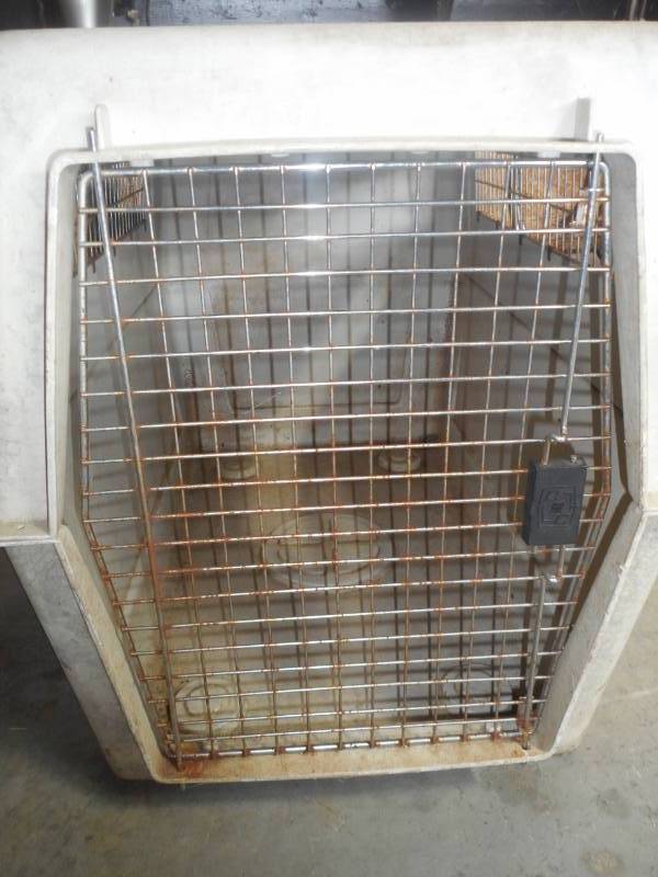 Dog Kennel