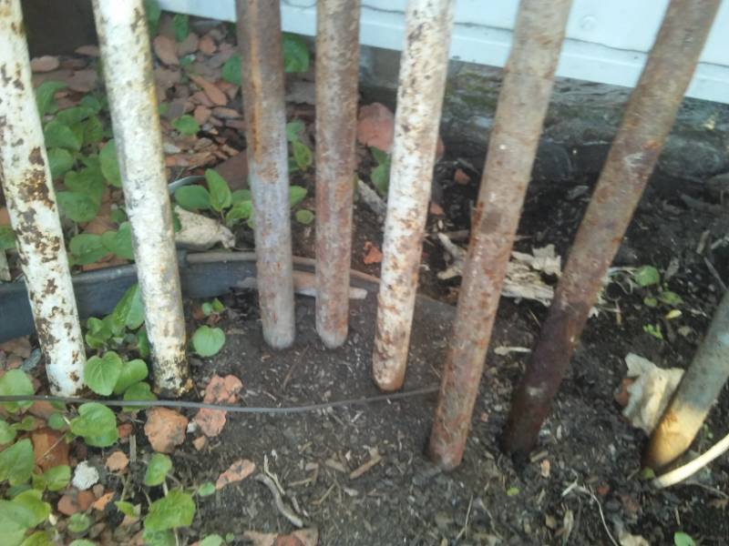 lot 42 image: 8 solid Stakes 30  long 1 14 inch diameter