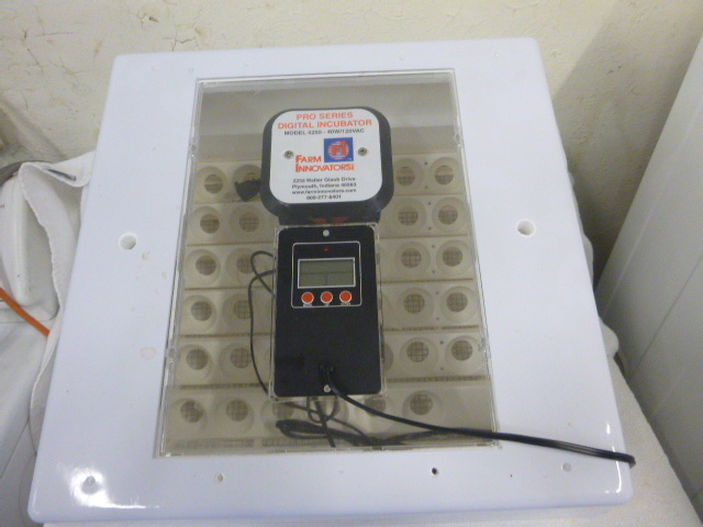 lot 5 image: Farm Innovators Digital Incubator Pro Series