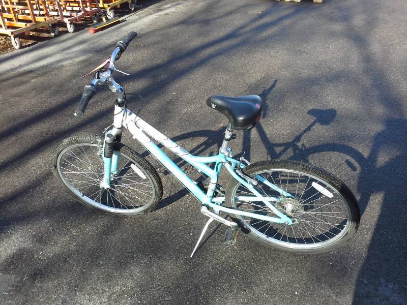 Schwinn coronado best sale