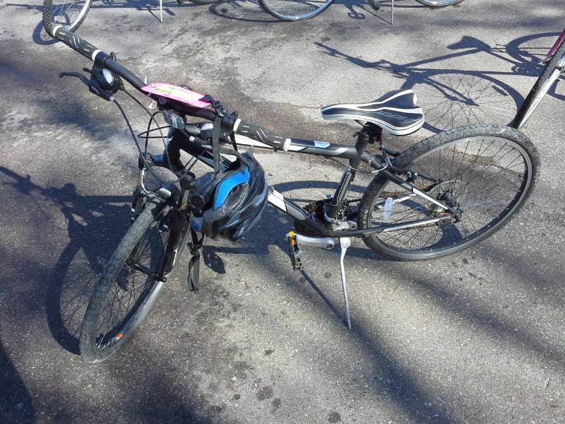 lot 368 image: Trek 820  Bike