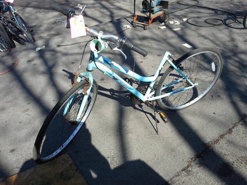 roadmaster adventures women's bike