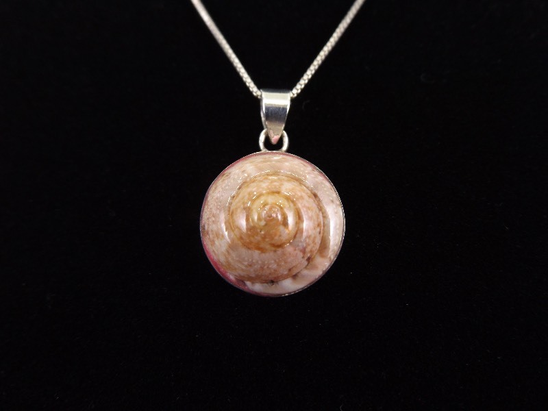 lot 16 image: .925 Sterling Silver Shell Fossil&nbspPendant Necklace
