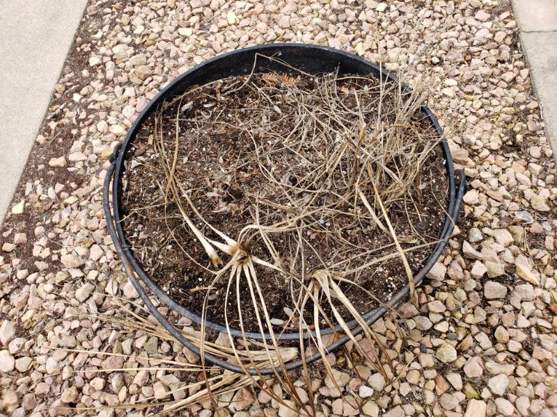 lot 148 image: Antique Metal Cauldron Planter