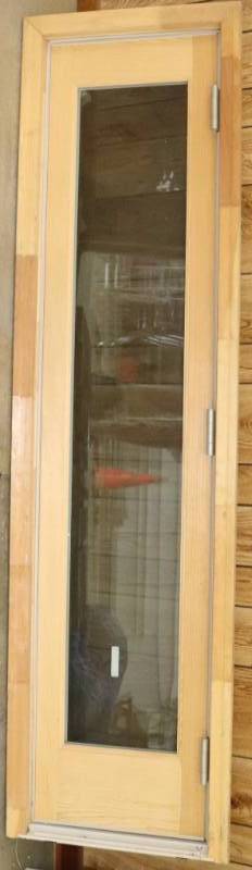 Door w screen
