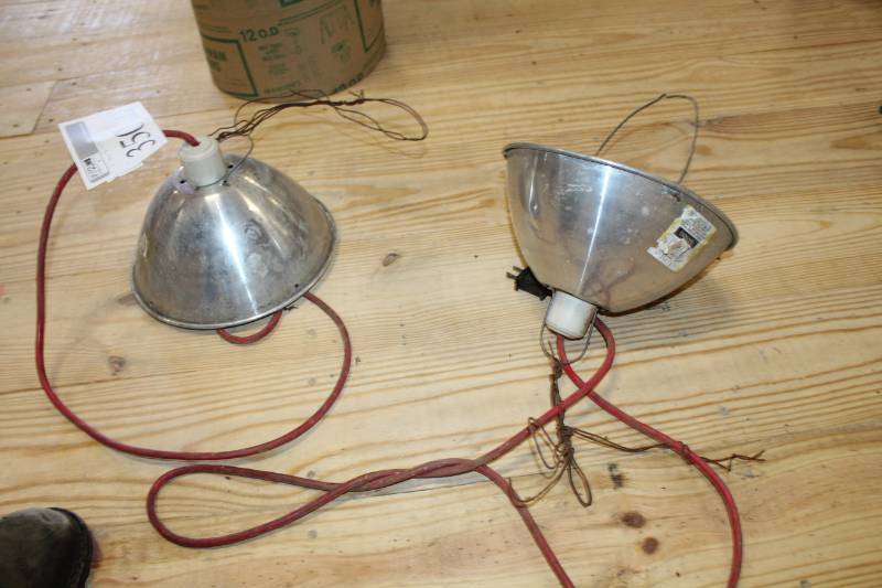 lot 350 image: Chicken Heat lamps