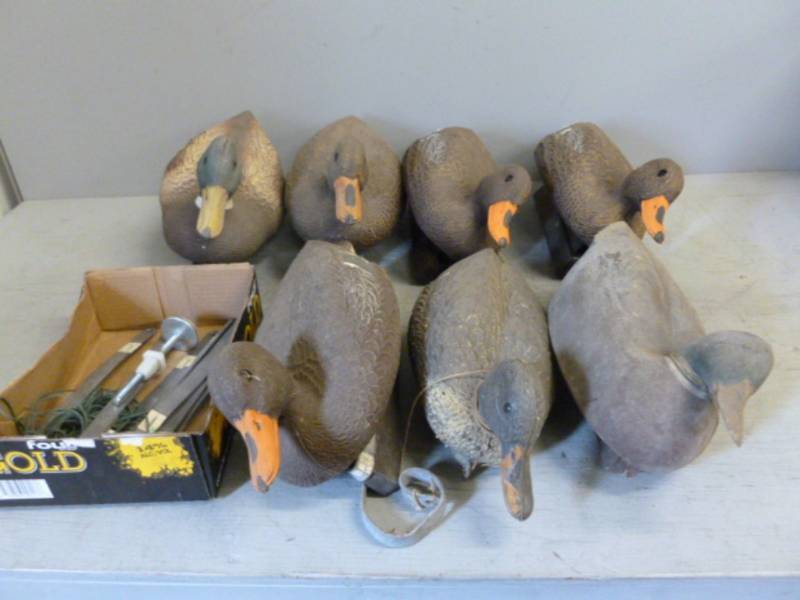 lot 158 image: Duck Decoys