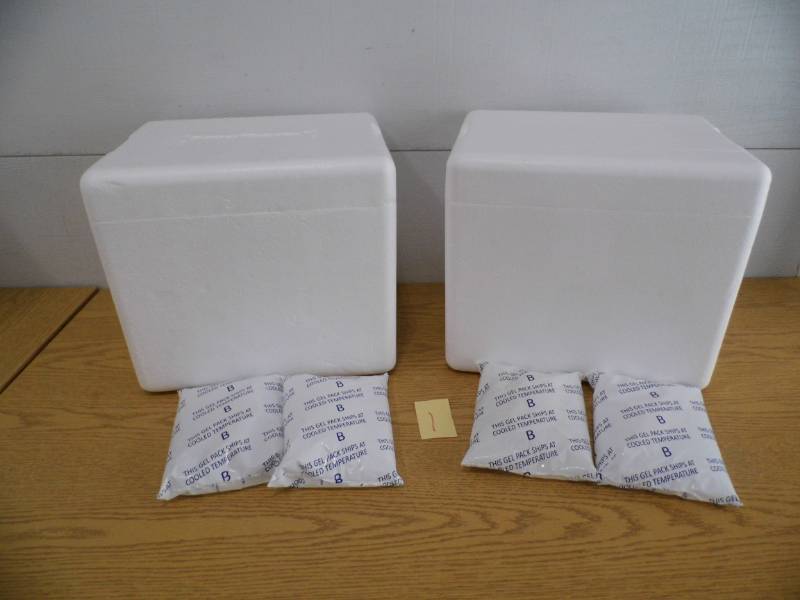 lot 1 image: Styrofoam Coolers w Gel Packs