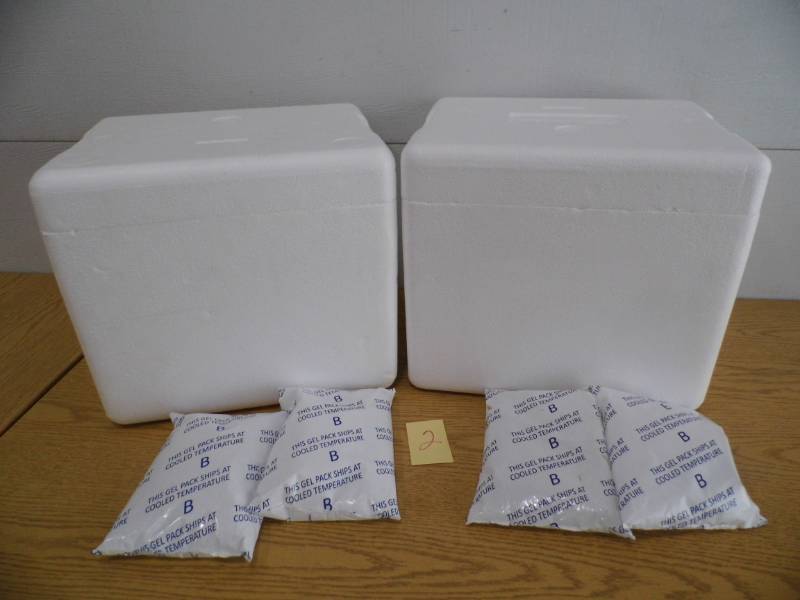 lot 2 image: Styrofoam Coolersw Gel Packs
