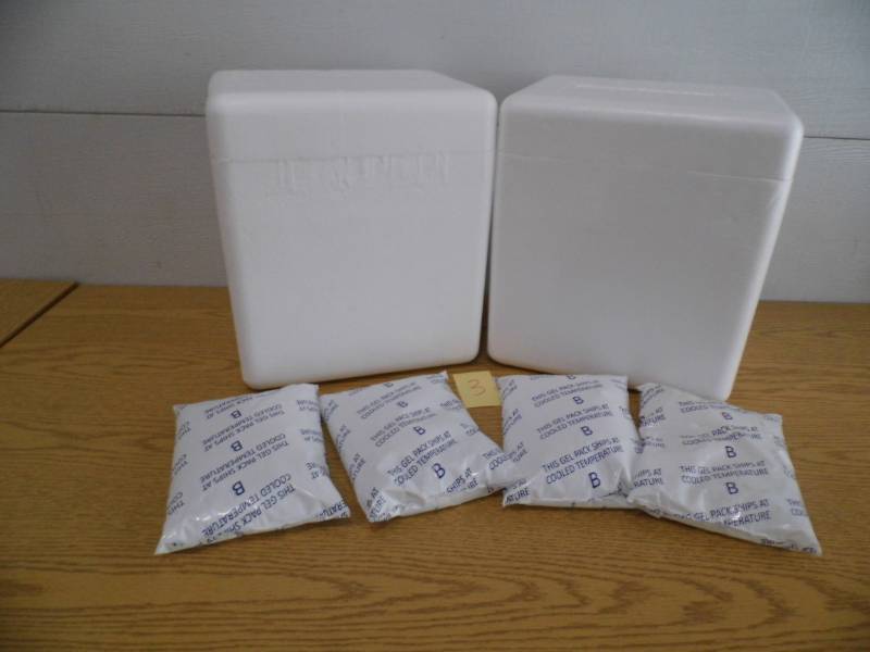 lot 3 image: Styrofoam Coolersw Gel Packs