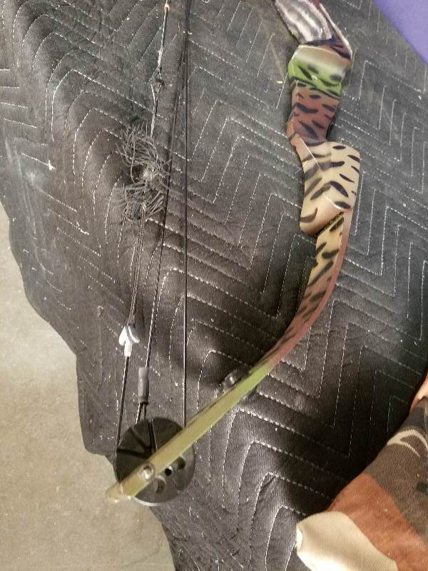 Compound Bow
