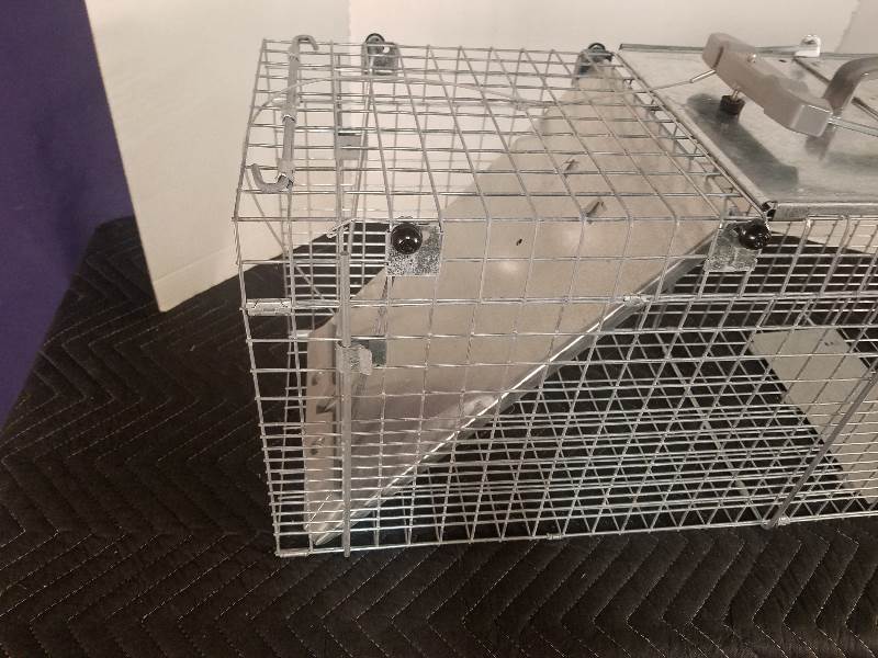 Animal Trap