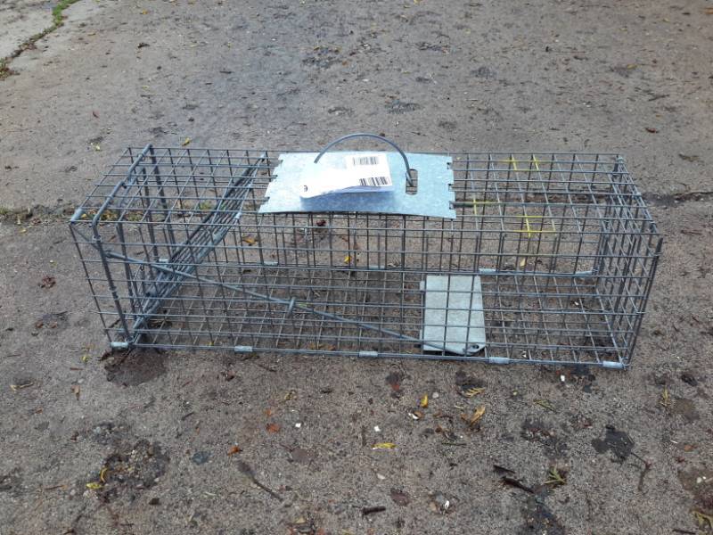 lot 6 image: Havahart, Live Trap.. Larger.. Approx 36in x 1ft x 1ft