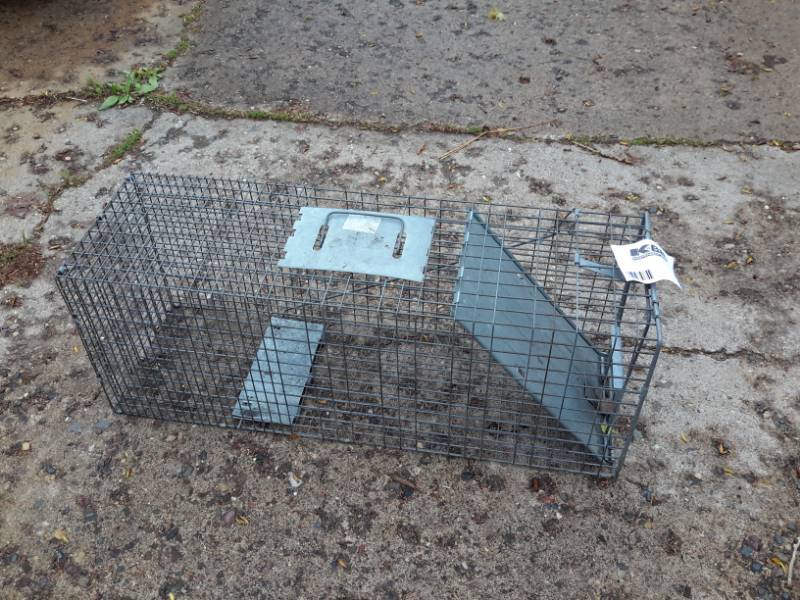 lot 8 image: Smaller Havahart Live trap.  Approx 30 in x 10in x 10in