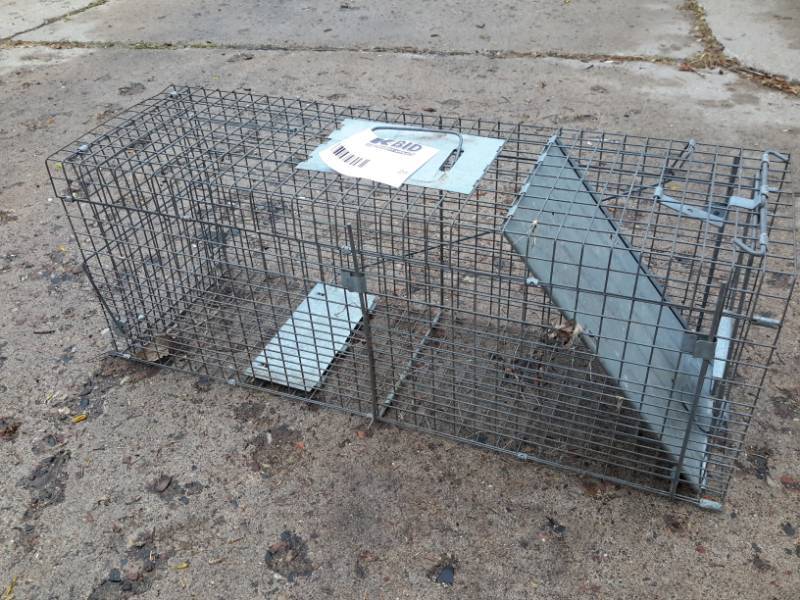 lot 24 image: Havahart, Live Trap.. Larger.. Approx 36in x 1ft x 1ft