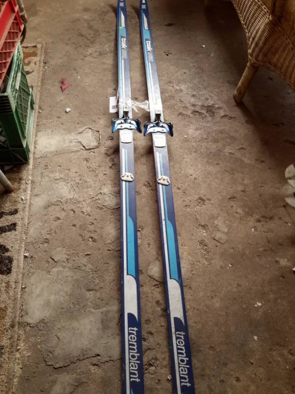 lot 137 image: Pair of Tremblant Cross Country Skiis.. No poles