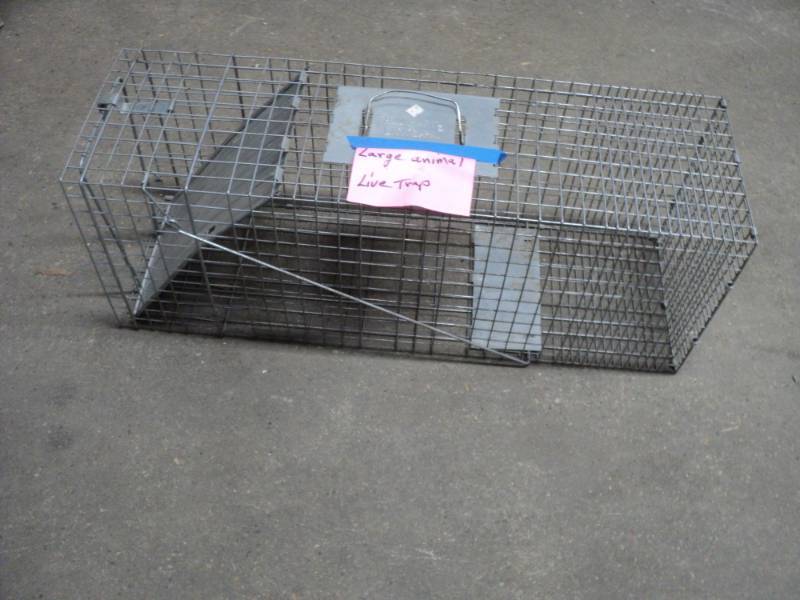 lot 176 image: Havahart Lititz Large Animal Live T...