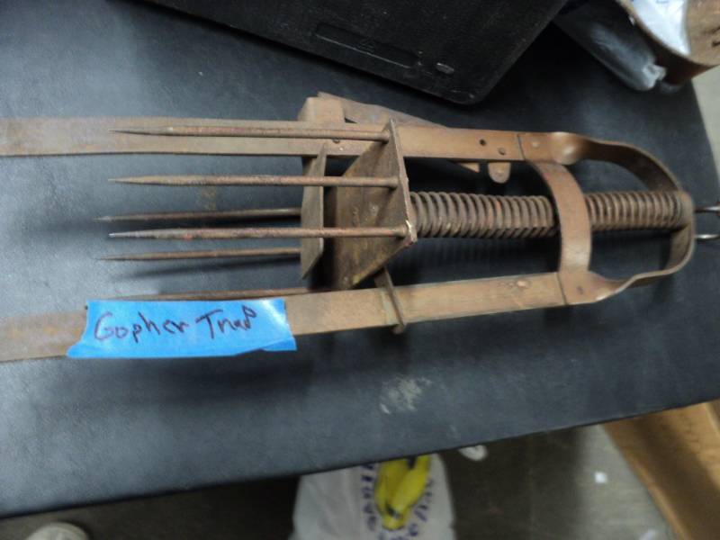 lot 231 image: Gopher Trap...