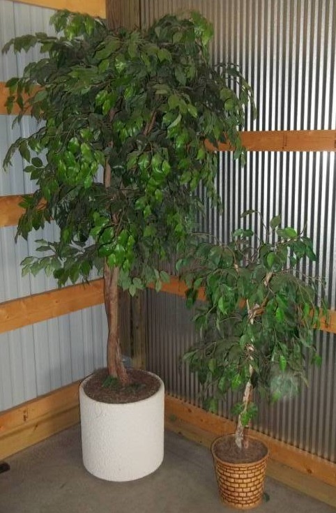 Faux Plants