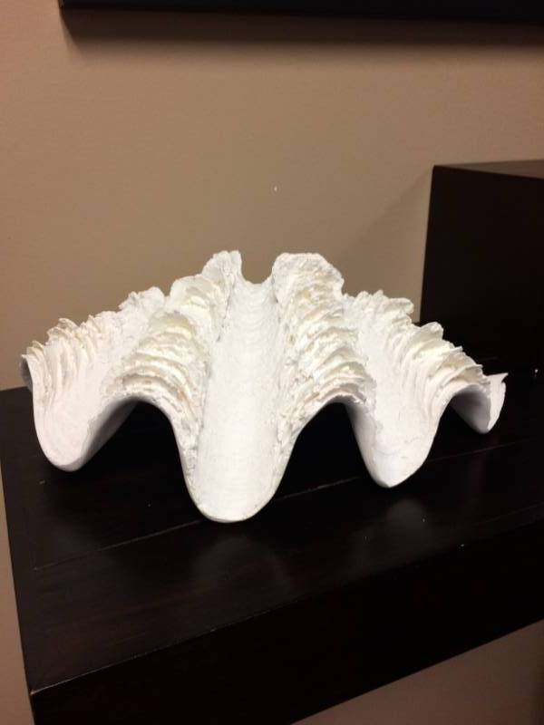 lot 39 image: Giant Decorative Clam Shell - Excellent Condition