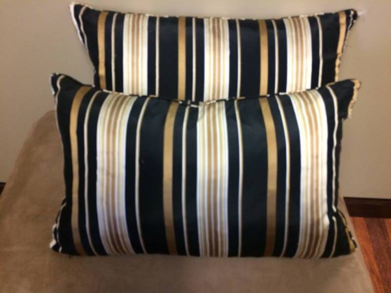 lot 123 image: 2 Decorative Throw Pillows - Very Satiny Feel - Excellent Condition