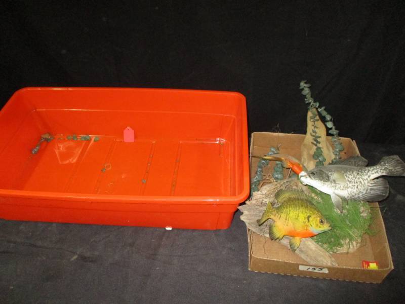 Fish Mounted