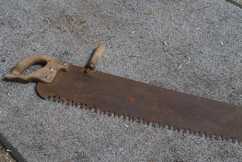 lot 36 image: Lumberjack One Man Saw 5 Ft
