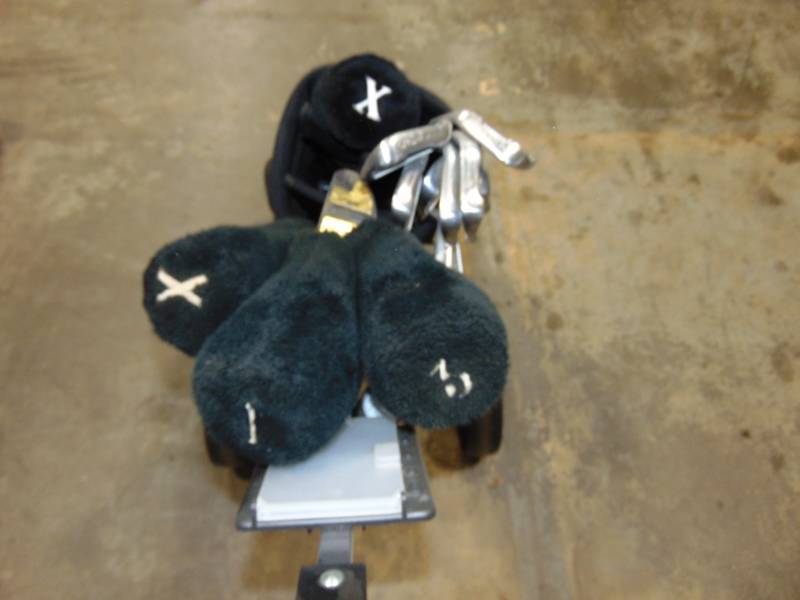 lot 51 image: Gold Clubs With Bag and Cart