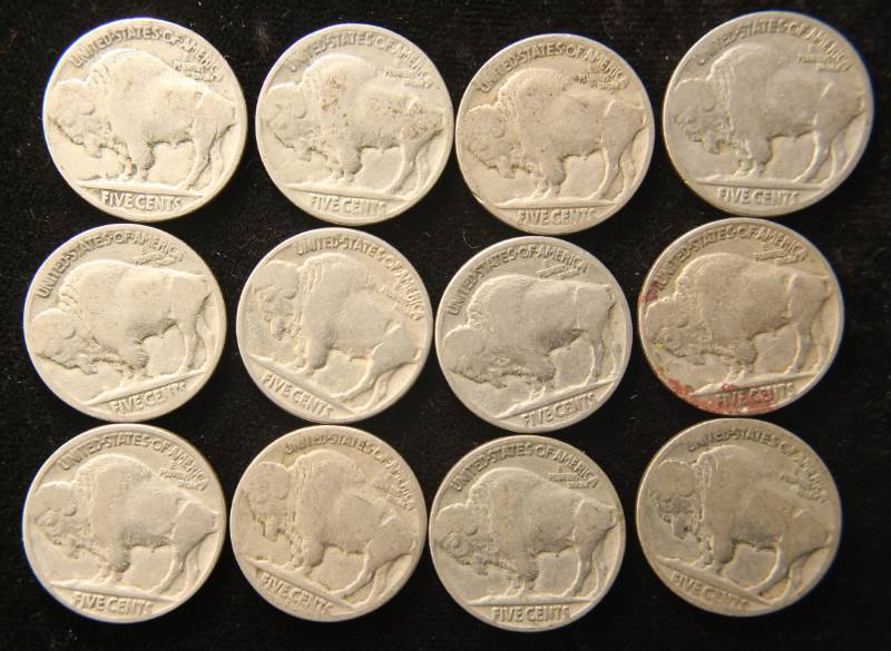 GROUP OF 12 US BUFFALO NICKELS