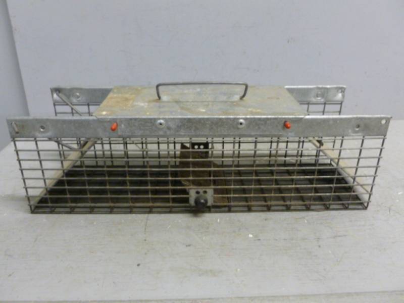 lot 162 image: Live Trap
