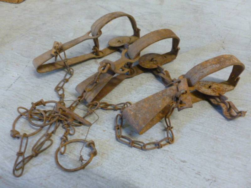 lot 243 image: Vintage Traps