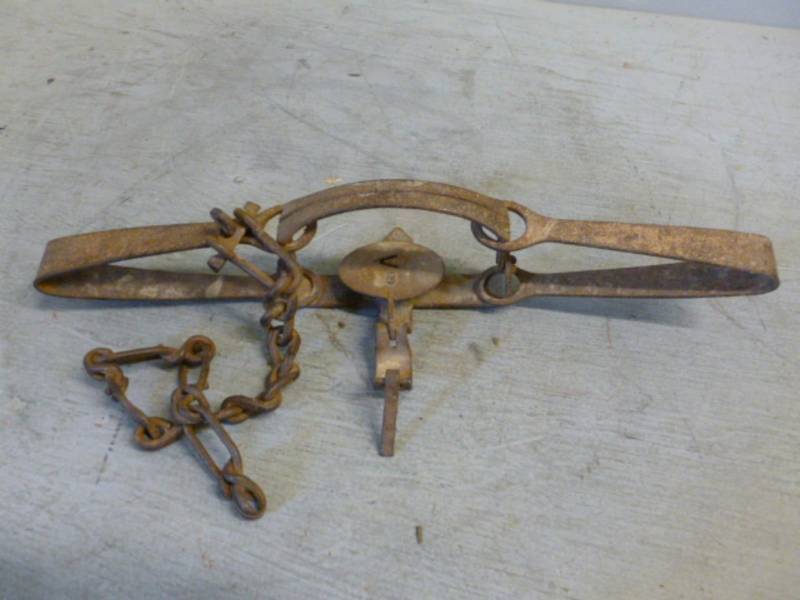 lot 250 image: Vintage Trap
