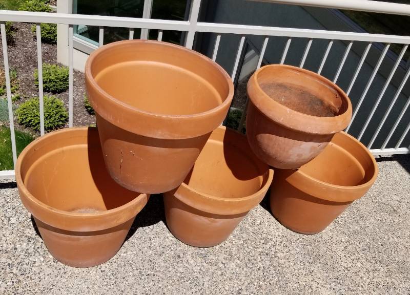 lot 117 image: Set of 5 Terra Cotta Planters