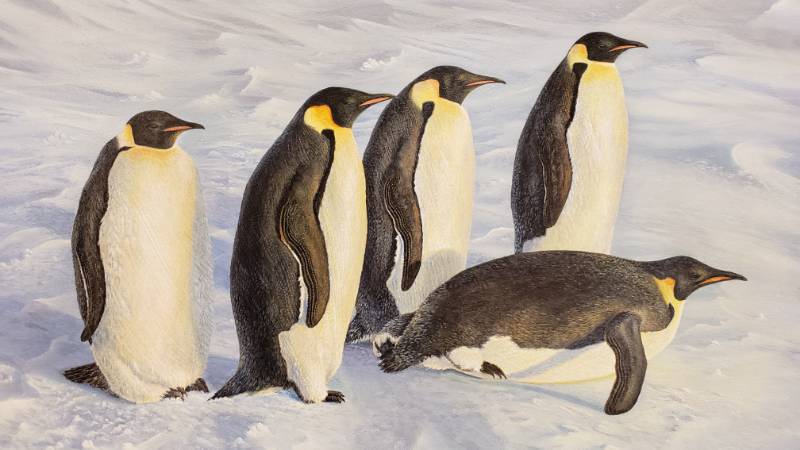 lot 2A image: Kim Norlien Original Acrylic on Masonite Board Emperor Penguins